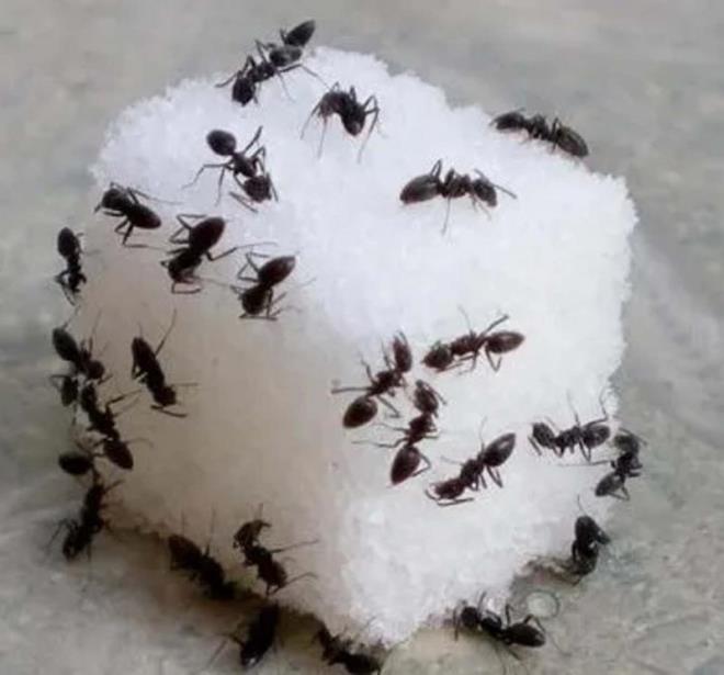 Fazla eker sizi uyuturur ve beyin fonksiyonlarnz yavalatr.