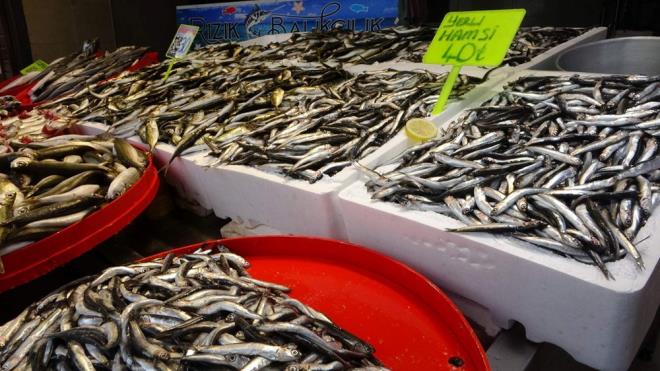 "SEZONUN EN BEREKETL GNLER"    Hamsinin genelde Hopa-Trabzon aklarnda avlandn syleyen balk Gkmen Aydn, " u sralar balk bollanyor ancak piyasa durgun. Aylar sonra ilk defa bu kadar bol eit balk geldi. Birka gndr sezonun en bereketli gnlerini yayoruz" dedi.