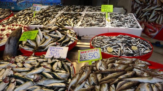 "HAMS FAZLA OLMUYOR"    Bundan sonra da av sezonunun bitimine kadar bu eidin devam etmesini beklediklerini syleyen oalm, "Tezgahn demirba hamsi, istavrit, mezgit dolaysyla bol eit olunca talep biraz daha fazla oluyor. Hamsi de u sralar kyor ancak fazla miktarda olmuyor" ifadelerini kulland.