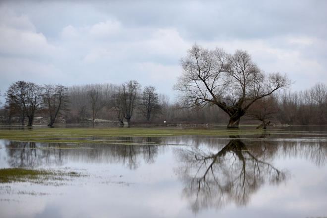"SUSUZLUK EKLMEYECEK"    Kendisinin de ifti olduunu aktaran Demircan, "Toprak da suya doydu, ormanlar da suya doydu; susuzluk ekilmeyecektir diye dnyorum. Byk Melen'in debisinin yksekliiyle stanbul da rahat bir nefes alacak,  Yaptmz yeni set, inallah su tutmaya balayacak." diye konutu.
