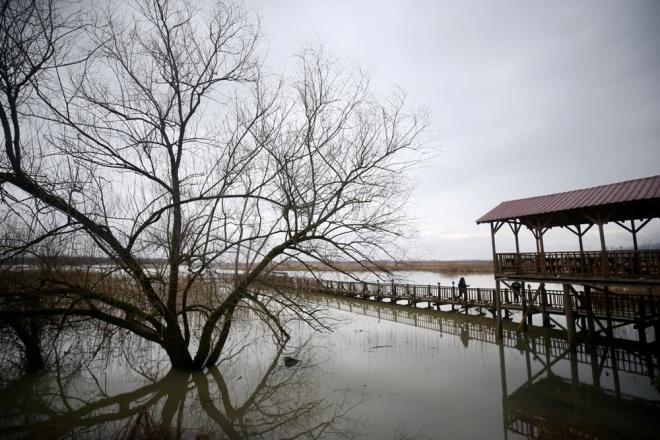 Glyaka Belediye Bakan Yakup Demircan, blgede topran su bakmndan doyuma ulatn syledi.    Byk Melen'in yatandan ktn ve tarm arazileri ile evresine tatn aktaran Demircan, "Melen imenle ayn seviyede akyor, hatta yatann dnda akyor. Bu yl bereketli bir yl olacak. Kar ve yamur berekettir. iftimizin yzn gldrr." dedi.