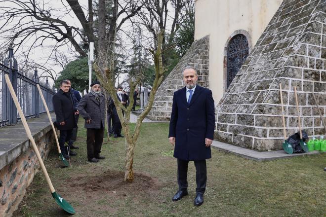 Rivayet gerek oldu<br>  Bursa Bykehir Belediyesi de Osmanl'nn 3'nc padiah Sultan 1. Murat'la ilgili bu rivayeti geree dntrd. Bursa Bykehir Belediye Bakan Alinur Akta'n da katld trende 1. Murat'n trbesinin yanna sembolik olarak bir nar aac dikildi. nce trbeyi ziyaret edip, padiahn ruhuna dua eden Bakan Akta, daha sonra nar aacn da kendi elleri ile dikip, can suyunu da kendisi verdi. Bakan Akta, "Her bir kar ecdat kanyla sulanm, ehit kanlaryla sulanm, yine manevi byklerimizin her bir karna imza att Bursa'mzda onlarn huzurunda olmak bizler iin byk bir eref ve onur. Bu vesileyle de rabbim efaatlerine bizleri de nail eylesin inallah" dedi.