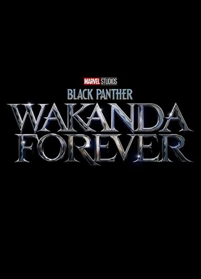 32. Black Panther: Wakanda Forever (2022)    11 Kasm