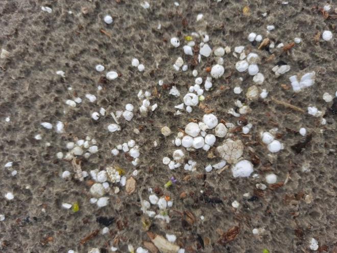 Y ATIK YNETM VURGUSU    Aratrmaclar, Arktik ekosisteminin salnn tehlikeye girmemesi iin daha iyi atk ynetiminin gerekli olduu konusunda uyard: