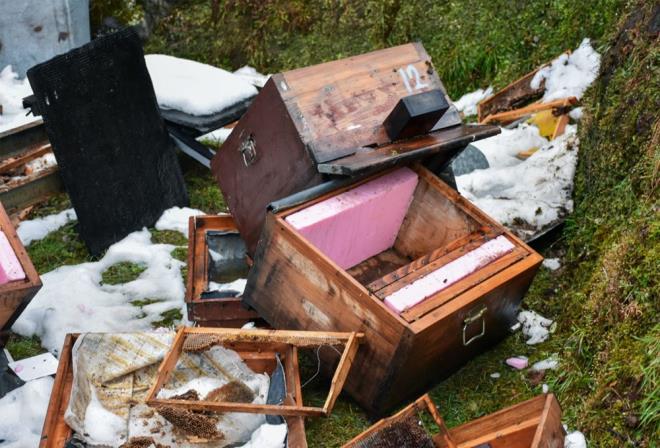 "OCUKLAR NASIL OKULA GDECEK?"    Olay sonras can gvenliklerinin kalmadnn altn izen Salih, aklamasna u ekilde devam etti:    ?Yazn nasl ay toplayacak bu millet, ormanna nasl gidecek? Sahile 1 kilometre uzaklkta olan bir yerde ay geliyor kapna. Burada ocuklar okula nasl gidecek. Sabah servise nasl binecekler. Zaten karanlkta okula gidiyorlar. Kimse burada okula ocuklarn gnderemez. Benim zararm vermeleri lazm. Ben bunlar ocuumdan daha iyi bakyordum. Can gvenlii kalmad. Gece eve gelemem.?
