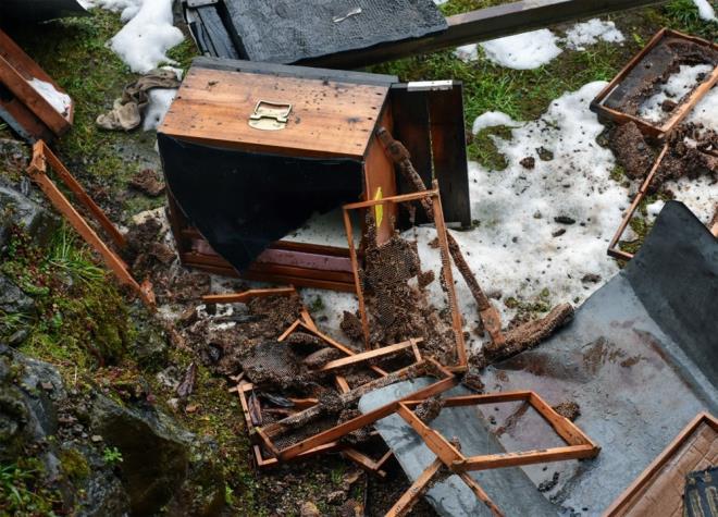 Ahmet Salih, yapt aklamada ?Milli Parklar? aradk dediler ki 'Onlarnda yaam hakk var foto kapan kuracaz, tespit edeceiz onu' dediler. Benim kameram var. Tespiti yaptm buradan geiyor babasnn mal gibi yiyor arlar" diye konutu.