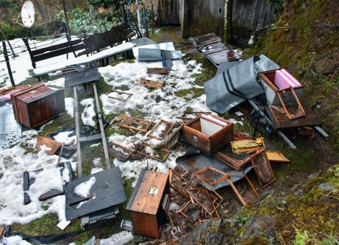 "30 BN LRA ZARARA URATTI"    Aylarn kendisini yaklak 30 bin lira zarara urattn ve yllardr verdii emeklerin heba olduunu ifade eden Salih, Doa Koruma ve Milli Parklar Mdrl?nden konu ile ilgili nlem alnmasn istedi.