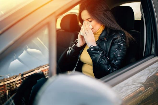 8-ARABA FLTRELERN DETRN    Arabalardaki en iyi filtreler bile eskir ve d havadaki kk paracklar filtreleme etkisini azaltr. Polen alerjiniz varsa, araba filtrenizi iki ylda bir deitirin.