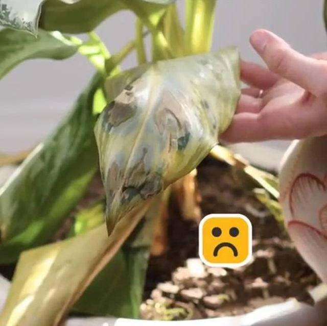 Sizde bu yntemi denemeye ne dersiniz?