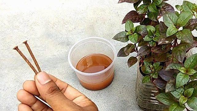 Yaklak 5-10 dakika kadar bekletin. Suyun renginin yava yava deitiini grebilirsiniz.