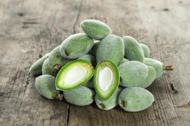 ALA MEYVES  <br>  Gl bir probiyotik olan ala kemiklerin glenmesi iin fayda salar. Ayrca iftardan sonra bir kase tketildiinde vcutta besin at brakmaz. drar yoluyla enfeksiyonlarn atlmasnda yardmc olur.