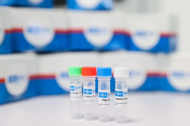 KTLER BU HAFTA HALK SALII GENEL MDRLNE TESLM EDLECEK    Akdoan, Covid-19 tan kitinin salk kurulularna datmyla ilgili de "Bu hafta itibaryla biz (kitlerimizi) Halk Sal Genel Mdrlmze teslim etmi olacaz. Ondan sonraki srete kendileri nasl takdir ederse ihtiya olan hastanelere bunlar gnderir.  nmzdeki pazartesiden (11 Nisan) itibaren kullanlmaya balanr." bilgisini verdi.