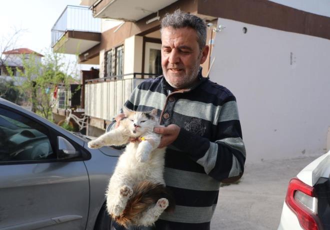 Denizli'nin Pamukkale ilesinde son bir ayda bazlar sahipli 20 kedi ve kpek, iddiaya gre zehirli yiyeceklerden ld.