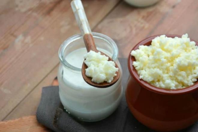 KEFR    Yourttaki probiyotikler gibi kefir kltrleri de laktozun sindirilmesine yardmc olarak ikinlik, kramp ve gaz gibi laktoz intolerans ile ilikili baz olumsuz yan etkileri azalt