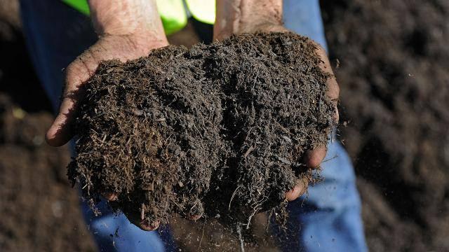 FDE M, TOHUM MU?  <br>  lk balayanlar iin fide mantkl bir seim. nk tohumun yetimesi biraz zaman alr ve tohumlar tutmayabilir. Fideleri, iekilerden, yap marketlerden gibi siteler zerinden alabilirsiniz. Tohumlar da birok sitede satlyor. Ayrca marketten aldnz bitkilerin (marul, nane, roka, biberiye gibi) canl bir daln bir bardak suya koyup (su belli aralklarla deitirilecek) kk salmasn bekleyebilirsiniz.  <br>  TE BU KADAR...