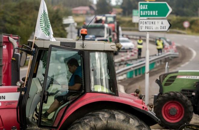 ENDEYE NEDEN OLDU    Dier taraftan, ku gribinin yaylmas, hayvan srlerinde oluturabilecei tahribat, ticaret kstlamalar olasl ve insanlara bulama riski nedeniyle hkmetler ve kanatl endstrisi arasnda endie yaratyor.