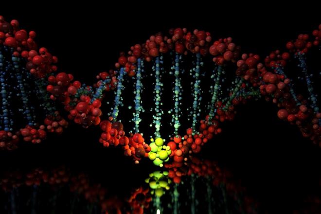 Ekip, 16 memeli trnn barsaklarndan alnan kk hcrelerdeki genetik hatalar analiz ederken, bir trn mr ne kadar uzun olursa, mutasyonlarn meydana gelme hznn o kadar yava olduunu buldu.