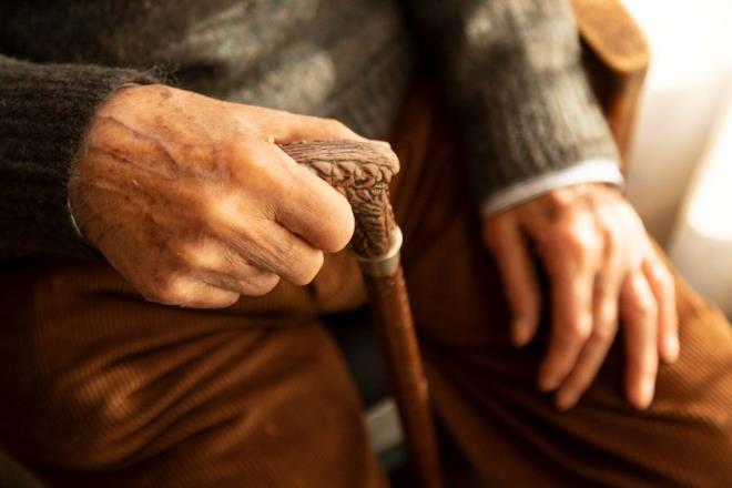 ngiltere?de insanlarn ortalama 80 yl yaamalarnn nedeni zerine yeni bir alma gerekletirildi.    Cambridge'deki Wellcome Sanger Enstits'nden yaplan yeni bir aratrmada, genetik hasar hznn hayatta kalmann anahtar olabileceini belirtildi.