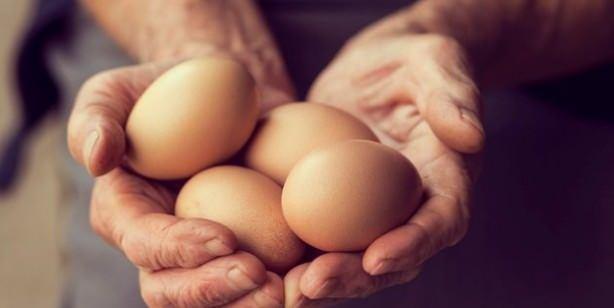 nsan salna faydalar saymakla bitmeyen yumurta kas yapmanza yardmc olan iyi proteinler ierir ve ayrca kana iyi gelir. Ayn zamanda yalanmaya kar koruduu iin uzmanlar tarafndan her gn tketilmesi tavsiye edilmektedir.