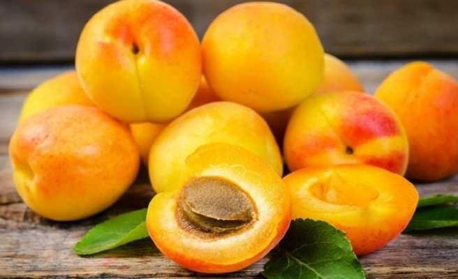 Sert ekirdekli meyveler buzdolabna konulduunda lezzetini kayvbeder. Bu eit meyveleri buzdolabna koymamanz daha dorudur.