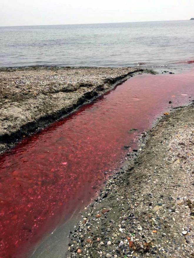 Tekirda'n Marmaraerelisi ilesinden denize dklen Kamara Deresi yer yer krmz tonlarnda akmaya balad. Derenin renginin deitiini gren mahalle sakinleri, durumu yetkililere bildirdi.