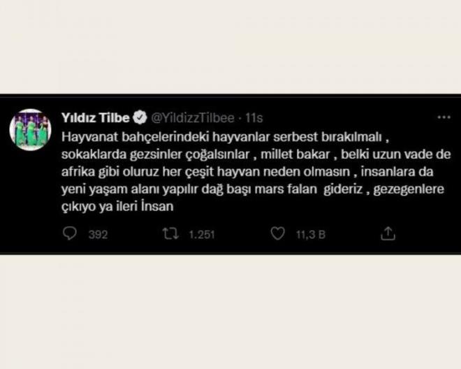 Yldz Tilbe daha sonra ise kendisini savcla veren ve dalga geenleri Ti'ye alan bir paylamda bulundu.     "Bende uygun bulduum bo ve gzel sokaklara, timsah, komodo ejderi ve birka srtlan brakacam beslemek iin, anakonda da olur, besleme yapp sokaa brakcam, hem turistler de gelir, safari falan neden olmasn neyimiz eksik, sokak hayvanlarmza yeni trler niye eklenmesin."