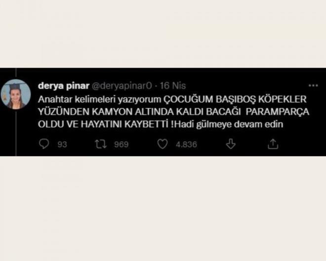 Pnar Meng'nn paylamnn altna "Anahtar kelimeleri yazyorum OCUUM BAIBO KPEKLER YZNDEN KAMYON ALTINDA KALDI BACAI  PARAMPARA OLDU VE HAYATINI KAYBETT !Hadi glmeye devam edin" cevabn yazd.
