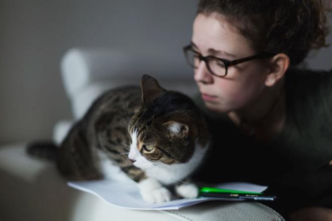 Aratrmann kedilerin dnlenden daha az bencil olduunu ortaya kardn belirten bilim insanlar, bir evde ya da kafede yaayan kedileri inceledi.    Her kediye, sahibinin dier kedinin adn syledii ses kayd dinletilirken, daha sonra o kedinin fotoraf gsterildi.