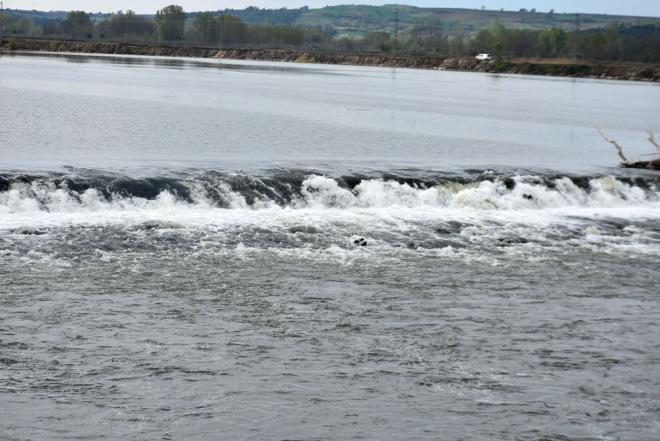 reticilerden lk zavc ise yamurlarla birlikte bereket yadn syledi.    Hasattaki rnden yksek verim beklediklerini kaydeden zavc, "Allah'a ok kr, bu yalar ok bereketli oldu. Memleketimiz iin, bilhassa Edirne iin ok faydal oldu. nk kurak geiyordu. Mahsule byk bir avantaj" dedi.
