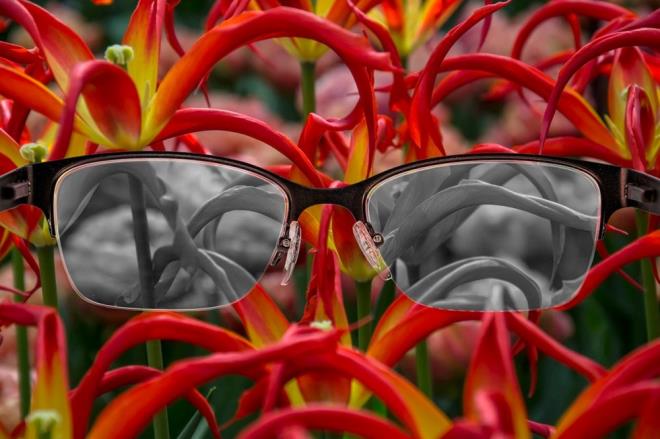 te yandan, aratrmaclar, kefin bir gn grme engellilere yardmc olacak gelimelere yol aabileceini vurgulad. Li, ?Bu teknoloji, biyomimetik elektronik gzlerin ve ayrca dier nromorfik protez cihazlarn gelitirilmesi iin ok nemlidir. Yksek kaliteli renk alglama ve grnt tanma ilevi, gelecekte grme engelliler iin yeni renkli e alglama olanaklar getirebilir? dedi.    almann tm bulgular ACS Nano adl bilimsel dergide yaynland.