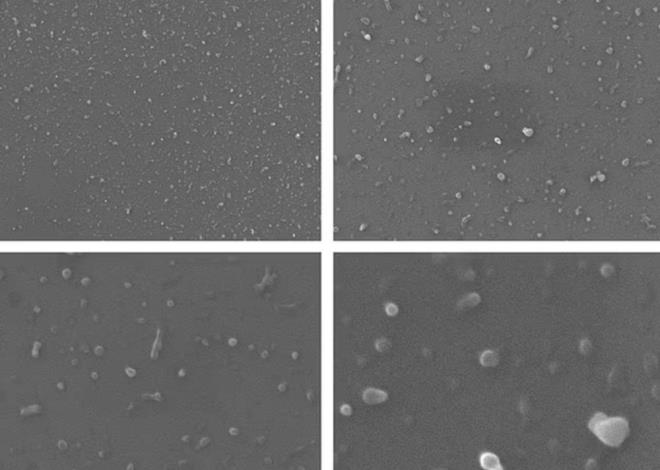 Environmental Science and Technology adl dergide yaymlanan almann yazar kimyager Christopher Zangmeister, "Nereye baksak plastik buluyoruz. Karton bardaklar, litre bana trilyonlarca nano plastii ieceklere karmasna neden oluyor? dedi.