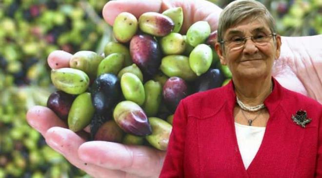 Omega-3 ya asitleri bakmndan zengin olan zeytin ekirdei tam bir ifa kaynadr. Etli ksm kahvaltlarn vazgeilmez lezzeti olan zeytin ekirdei B vitamini kompleksi bakmndan da zengin besinler listesinde ilk srada yer alyor.