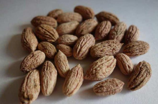 Barsaklarn daha iyi almasn salar. levsel fonksiyonunu artrarak kabzlk ya da ishali engeller.