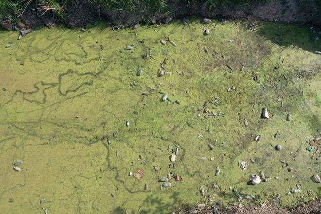 "SVRSNEK OLUUMUNA ZEMN HAZIRLIYOR"    Mahalle Muhtar Nuri Bostanc, gazetecilere yapt aklamada, tahliye kanalndaki kirliliin kt grnt oluturduunu syledi.    Kanalda bir an nce temizlik almas balatlmasn beklediklerini aktaran Bostanc, unlar kaydetti:    "Blgede hzl tren ve yol almamz var. Yetkililerden burann temizlenmesiyle ilgili szmz almtk. Fakat dar bir alanda ok fazla alma olduu iin herhalde temizlik almas biraz ertelendi. Yazn sivrisineklerin remesine zemin salayan bir alan oluturuyor"