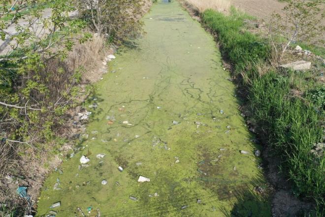 Edirne'de bulunan Bayr Deresi, geen yl  Devlet Su leri (DS) ve belediye ekiplerinde temizlendi. Ancak tahliye kanal rzgarn srkledii atk malzemelerle yine kirlendi.    Blge sakinleri, kanaldaki kirliliin temizlenmesini istiyor.