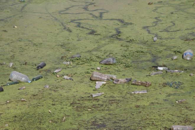 Kirliliin rahatsz edici boyuta ulatn belirten Mehmetolu, "Temizlenirse ok iyi olur. Kirlilik olunca yazlar ok sivrisinek de oluyor." dedi.