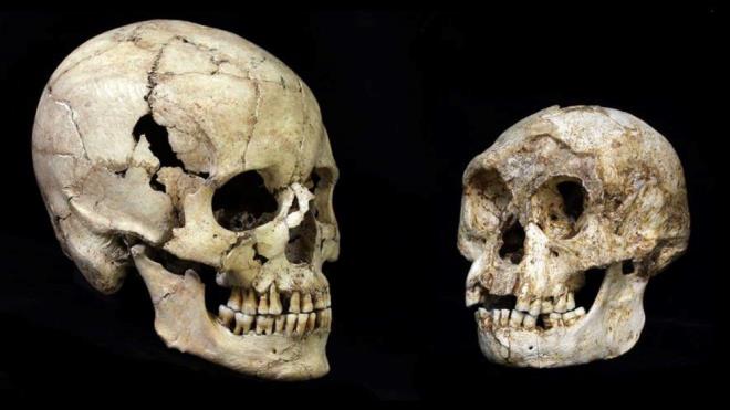 Dr. Forth, Flores'e gnderilen misyonerlerin 'kk maymun benzeri insanlar' hakkndaki raporlarnn 1920'lere kadar uzandn syleyerek, Dailymail?e verdii rportajda 1984'te adada saha almas yaparken onlarn 'varln' ilk kez duyduunu syledi. 2001 ylnda, deniz seviyesinden binlerce metre ykseklikte Flores'te izole kulbelerde yaayan eski bir kabile olan Lio halkn ziyaret ettiini aklad.