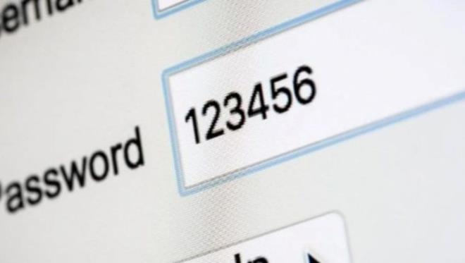 CEO'lar isimlerin yan sra hayvanlara ve efsanevi yaratklara olan sevgilerini de ifreler sz konusu olduunda gsterdiler, en ok kullanlanlarn 'dragon' ve 'monkey' olduu ortaya kt.