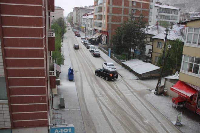 Saanak yamurla balayan ve doluya dnen ya nedeniyle Zara ilesinde vatandalar i yerlerine snrken, atlar beyaza brnd.
