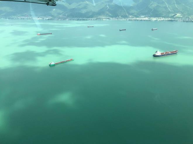 zmit Krfezi'nde denizin rengi turkuaza dnd.