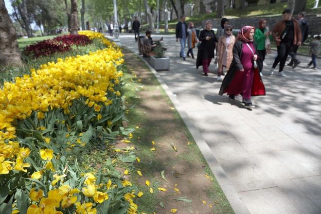 YOUNLUK KONTROLDEN IKTI    Peyzaj Mimar Aye Hocaolu , "Glhane Park ierisine yaklak 1 milyon 575 bin soanl bitki dikildi. Laleler ktktan sonra insanlar engellememek iin rahata grebilsinler ve fotoraf ekilebilsinler diye biz koyduumuz koruyucu nlemleri kaldryoruz. Bayramda byk bir younluk vard. nceki senelerden daha fazla bir younluk vard. Bu younluk biraz kontrolden kt. Fotoraf ekmek ya da alp gtrmek iin bir ekilde zarar verdiler. u an bu ezilen laleleri kaldryoruz, baka yapabileceimiz bir ey yok. Tamamen bittii noktada da kaldrp, topra havalandrp baka ieklerle ekillendireceiz buray. Biz alanlar tasarlarken insanlarn fotoraf ekebilecei ekilde desenlerin boylarn arladk" diye konutu.