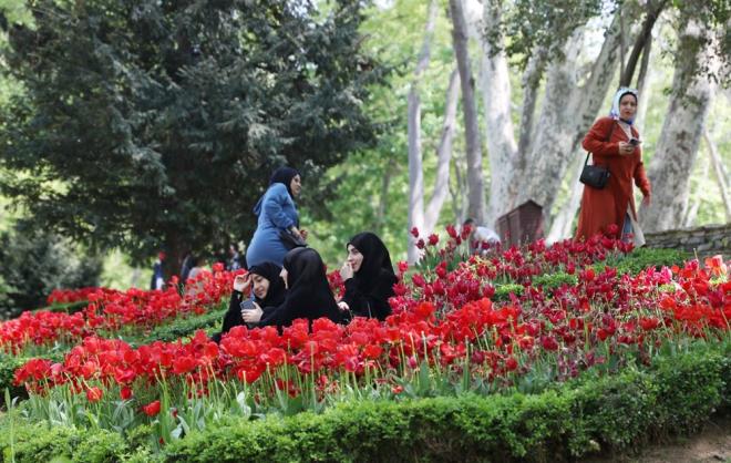 Gnlk ziyareti kapasitesi 15 bin 600 olan Glhane Park, Ramazan Bayram boyunca kapasitesinin 10 kat kadar ziyaretiye ev sahiplii yapt. Bu youn ilgi, Glhane Park'na ekilen 1 milyon 575 bin lalenin byk bir ksmnn zarar grmesine neden oldu. Lalelerle birlikte fotoraf ektirmek isteyenler, onlar ezerek poz verdi. Lalelerin ezilmi, koparlm grntleri de vatandan tepkisine neden oldu.