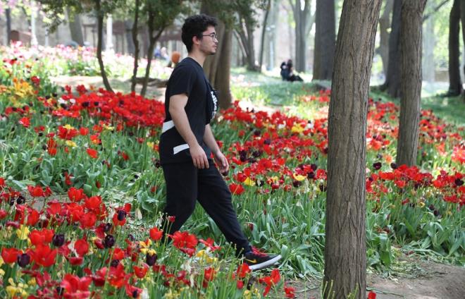 Tlay Sln de, "Gerekten iler acs, bu nasl bir vicdan. Nereden bakarsanz bakn burada fotoraf ekebiliyorsunuz. Geldiimiz yolda hepsinin iine girmiler. nceden byle deildi. Gerekten iim doldu" diye konutu. Aydn Palasolu, "Her sene Glhane Park'na gezmeye geldiini belirten, "Biz buralar daha temiz, daha gzel, daha nezih diye geldik ama maalesef ok kt bir durumda. Biz buraya geldik, zldk, imdi de zlerek kp gideceiz" ifadelerini kulland. Nihal Palasolu, "Biz de paylayoruz, gelemeyenler de gelip grsn istiyoruz. stne oturmadan da resim ekilebilir. Yanna melerek de resim ekilebilir. Resmen katledilmi, sanki bile bile yaplm. O kadar ok zldk ki. Bunlar hem Trkiye iin bir masraf hem de yazk, onlar da canl" dedi.