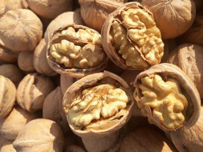 Kt kolesterol seviyesini azaltan ceviz, damar yapsnn sertelemesinin nne geer. Koronavirs atlatm ou insanda grlen kalp damar sorunlarnn tetiklenmemesi iin de ayrca cevizin tketilmesi nerilir.