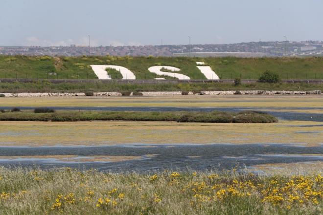 "YAZA DORU AZALACAKTIR"    Yaanan durumun tamamen suyun snmasndan dolay olduunu ifade eden Prof. Dr. Albay, ?Su scakl arttka metabolizma hzlanyor, ekosistemdeki canllar daha ok oalmaya balyor. En ok oalan canllarn banda da algler geliyor, halkmz buna yosun der. Bunlar oaldka suyun stn kapatrlar. Biraz yaza doru gittike bunlar azalacaktr. Sonbaharda da su seviyesi dtke bunlar tekrar oluma ihtimali var" dedi.