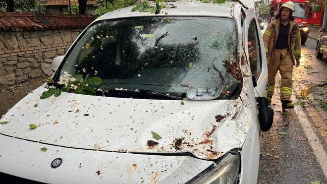 Bina sakinleri, terastaki kalaslar kullanarak atnn umasn engellemeye alt.