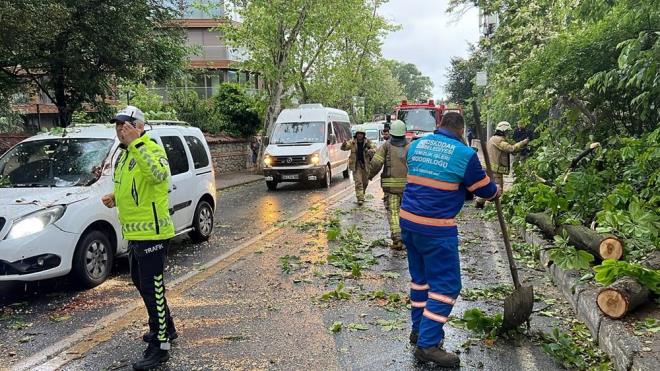 hbar zerine blgeye gelen itfaiye ekipleri, devrilen aac kesti. Polisin tuttuu rapor sonras aralar kaldrld.
