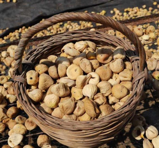 Bu uygulamay incirin hemen altna yerletirilmekte. Bylelikle bu yerletirilen hidrojen peroksidin paralanp yok olmas zararl olmad anlamna gelmez, aksine yok olurken geride ok miktarda kanser yapc madde brakr. Bundan dolay her yerden kuru incir satn alnmamas gerekir. zelikle merdivenalt gibi yerlerde retilen kuru incir satn alnmamaldr. Ayrca, pheli bir durumla karlaldnda Alo 174 hatt ile Tarm ve Orman Bakanl?na ikayete dilmelidir.