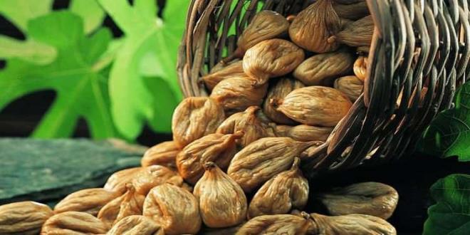 ncir kurutma evresinde yeterli tedbirler alnmazsa kurutulmu incirde bceklenme kflenme ve kararmalar meydana gelir.