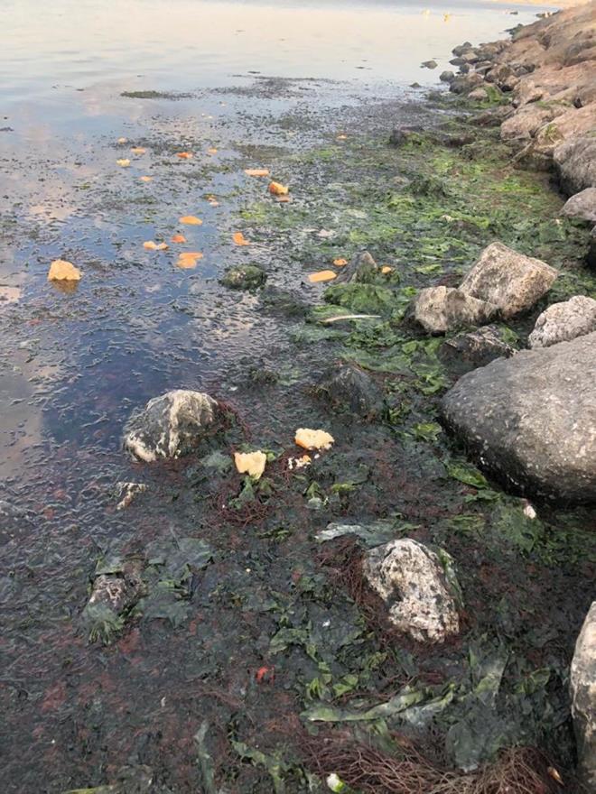 Beton kanallarn yeniden toprak kanala dntrlmesi gerektiini belirten Dr. Kesici ayrca sediment tanmasnn artna engel olunabileceini de syleyerek, "Toprak kanallarda dzenli aralklarla yaplacak temizlik, krfezi temizlemekten ok daha kolay. Ayrca krfezin koku sorunu ve ekosistemi de korunmu olacaktr" dedi.